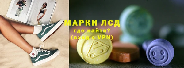 прущие грибы Баксан