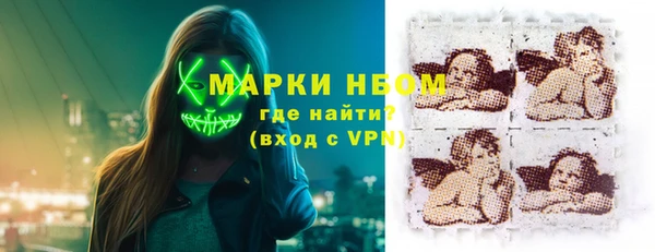 сатива Покачи