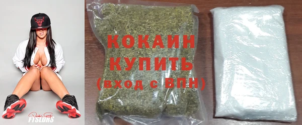PSILOCYBIN Сафоново