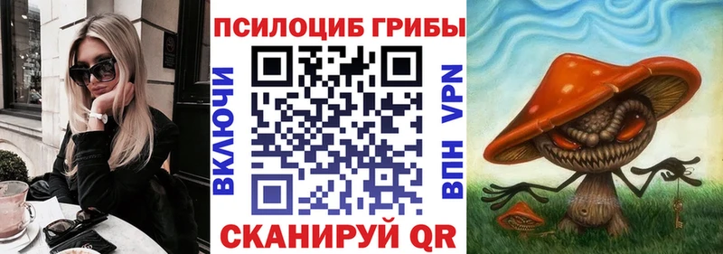 цены наркотик Шумиха Псилоцибиновые грибы GOLDEN TEACHER